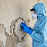 Защита от плесени: как сохранить дом сухим и здоровым